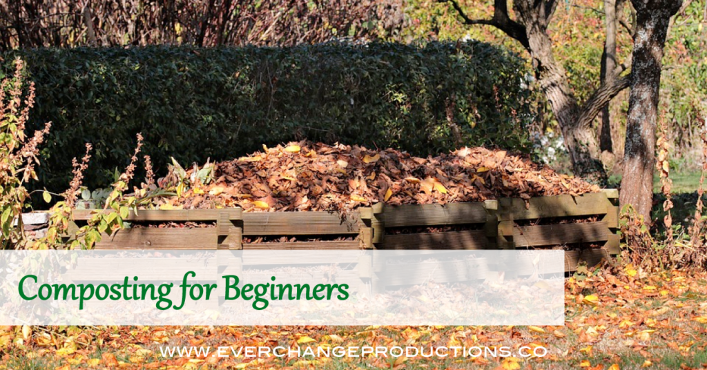 Composting might seem like a daunting task, but this post is everything you need to know about the basics of composting for beginners.