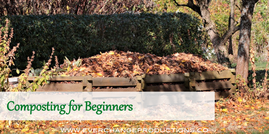 Composting might seem like a daunting task, but this post is everything you need to know about the basics of composting for beginners.