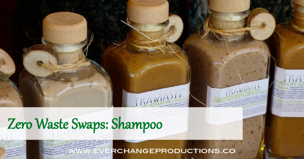 There are so many zero waste shampoo options out there, it's difficult to know where to start. This article breaks down the options and how to use them!