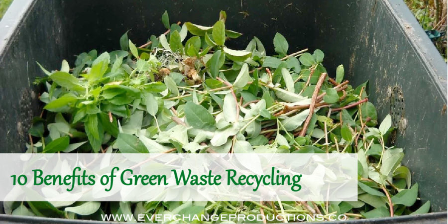 green waste recycling cover photo