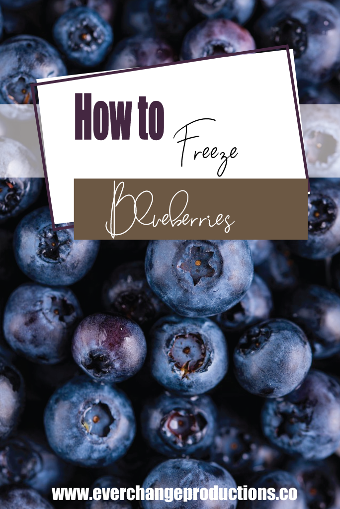 picture of blueberry pint in the background with text "How to freeze blueberries"