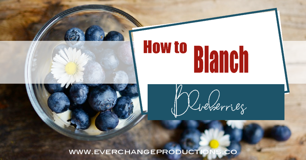 Facebook feature image with blueberries and daisies