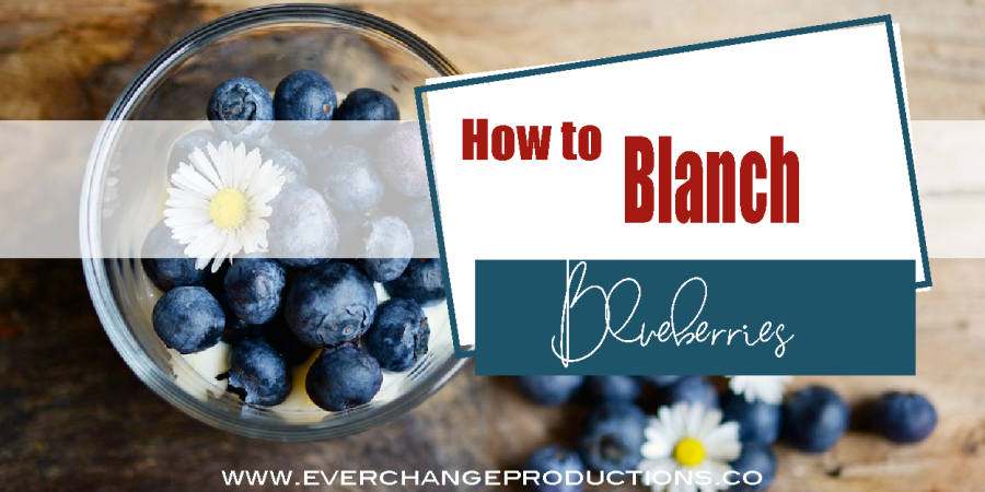 Facebook feature image with blueberries and daisies