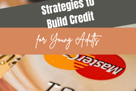 Picture of credit cards with the title "strategies to build credit for young adults"